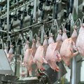 Superior Foods otvorio novi pogon za preradu piletine u Bačincima