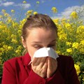 Ako ste alergični na polen: Počinje najgori period godine, već se pojavili prvi alergeni