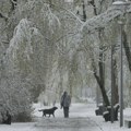 (Foto) April sa pahuljama: U Moskvi napadalo više od deset centimetara snega, oboren rekord