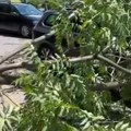 Snažno nevreme pogodilo Sarajevo, vetar rušio stabla: Jedno palo na taksi, vozač van sebe: "Moglo je da me ubije" (video)