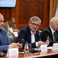 (Foto) Država traži način da zaustavi širenje afričke kuge, zaraza potvrđena na skoro 500 gazdinstava