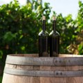 Severna Makedonija 13. na svetu po deviznom prilivu od izvoza vina