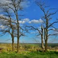 Sunčano i toplo, temperatura do 16 stepeni