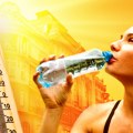 Pik toplotnog talasa, temperatura do 43 stepena – uveče promena vremena