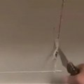 Čuli neobično lupanje u zidu Kad su videli da se iza ploče nešto pomera, sledila im se krv u žilama! (video)