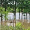 "Nikad ovoliko nije došla voda": Porodici kod Zaječara poplava uništila sve što su stvarali decenijama