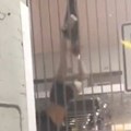 Nadrealan video! Udario tuđa kola, pa pokušao da pobegne preko ograde i "ostao bez gaća"