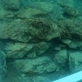 Neverovatno otkriće pod morem kod pašmana Arheolozi na 5 metara dubine našli pravu senzaciju: "Duga više od 300 metara, potiče…