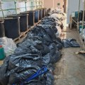 Saslušana šestorica osumnjičenih za proizvodnju i prodaju marihuane kod Smedereva