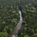 Zemlje Amazonije danas na samitu o zaštiti prašume