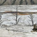 Amerika: Pirs Brosnan optužen za kretanje po nedozvoljenom delu Jeloustouna, najstarijeg nacionalnog parka