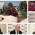 Afrička kuga u Srbiji pokosila više od 78.000 svinja: Kako to utiče na tržište i kvalitet mesa?