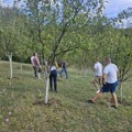 Zapošljavanje mladih u prijepoljskoj opštini kroz razvoj voćarstva i očuvanje autohtonih sorti voća