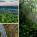 Apsurdi naše svakodnevice Masovna seča zaštićene amazonske prašume zbog klimatskog samita?! Ekolozi očajni zbog gradnje…