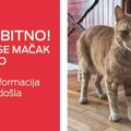 Svi traže Švrćka