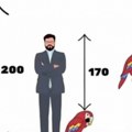 Mozgalica koja je posvađala internet Koliko je visok papagaj? Samo retki daju tačan odgovor – da li ste među njima?