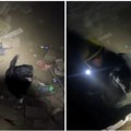 (Video) Novosadski heroji ponovo tamo gde treba: Vatrogasci-spasioci iz mraka Đavinih katakombi spasili zaglavljeno kučence