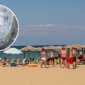"Zgrabila me u plićaku i ostavila mi rupu na zglobu": Žena na plaži u Grčkoj doživela traumatično iskustvo zbog ribe-zec