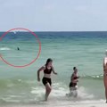 Snimljena ajkula u plićaku na rajskoj plaži: Predator velikom brzinom krenuo ka kupačima, ljudi vrištali u vodi video