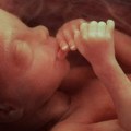 Veštačka Materica: Nova prilika u borbi za život prevremeno rođenih beba