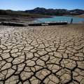 Maroko dao rešenje za uzgajanje useva u pustinji: Ovaj startap najavljuju kao revoluciju u borbi sa klimatskim promenama