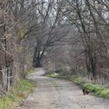 Ovo je najmorbidnija srpska izreka, koriste je mnogi, a malo ko zna koliko je strašna: "Tamo gde ona prođe, ostaje samo smrt"