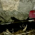 Prva slika s mesta pripreme zverske likvidacije! Ovako izgleda raka za žrtvu, pored nje sona kiselina i kreč (foto)