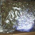 Uhapšene dve osobe u Beogradu, zaplenjeno oko tri kilograma marihuane