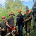 Radovi u lozničkom kraju: Počelo uređenje zaštitnih pojaseva dalekovoda