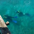 Letovanje im se pretvorilo u noćnu moru, a onda im je Velimir rekao istinu koju nisu želeli da čuju: "Počelo je, svake…