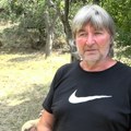 (Foto) psi lutalice napali stado ovaca i napravili pokolj Ljubinko se hvata za glavu, deo ovaca stradao, deo pobegao