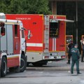 Požar u zoološkom vrtu u Rusiji, nastradalo 28 krokodila i jedna kornjača
