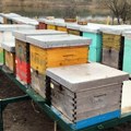 Pčelari do 31. oktobra moraju da prijave broj košnica za zimovanje