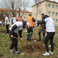 Поводом Светског дана шума у Бору и Мајданпеку посађено 2.000 садница црног багрема