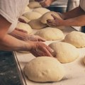 Pekari "Boki" u Novoj Varoši zabranjen rad zbog loših higijenskih uslova