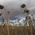 Klimatolozi izdali alarmantno upozorenje: Zbog ovog fenomena bi u narednih šest meseci moglo da umre više od 450.000 ljudi…