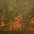 Gori u Evrosu već 14. Dan: Vatrogasci se bore da zaustave vatrenu stihiju i spreče širenje