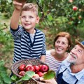 Cela porodica složno radi za sigurnu budućnost: Gazdinstvo iz Subotice spaja tradiciju i modernu poljoprivredu