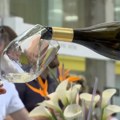 U Ložionici se okupilo 70 vinara – srpska vina hvataju korak sa Francuzima i Italijanima