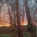 FOTO, VIDEO Gori Toskana: Vatra se brzo širi, evakuisano 3.000 ljudi