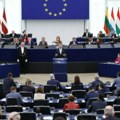 Anamarija Viček biće poslanica u Evropskom parlamentu