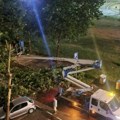 "Za dlaku smo izbegli da stablo padne na mene, muža i dete" Dramatičan prizor na Novom Beogradu, drvo se srušilo na…