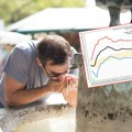 Temperature u Srbiji skaču za 15 stepeni: Od sutra nagli skok, a grafikon otkriva koliko će biti toplo do kraja juna