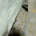 (Video) Zmija duga 2 metra usred centra Beograda! Muškarac se sledio kada je video gde je pobegla: "Gmizala je, a onda..."
