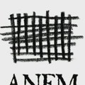 ANEM alarm: Nedopustive pretnje redakciji portala Vranje News