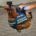 "Narko-kokoška" patrolira Tiringijom: Prvoaprilska šala nemačke policije