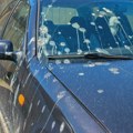 Većina vozača pravi istu grešku: Ovako se uklanja ptičji izmet, a da se ne ošteti auto