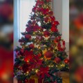 (Video): Novogodišnja bajka u domu estradnog para: Ogromna jelka sa crvenim ukrasima, a blizanci oduševljeni gledaju u ukrase