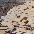 Snimak s plaže u Egiptu zaprepastio javnost – od „mora“ suncobrana ne vidi se pesak (VIDEO)