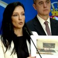"To je notorna laž": Oglasio se MUP povodom tvrdnji Marinike Tepić: "Najobičniji politički pamflet"